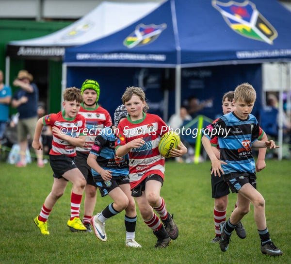 Wildboars Festival 26.4.26