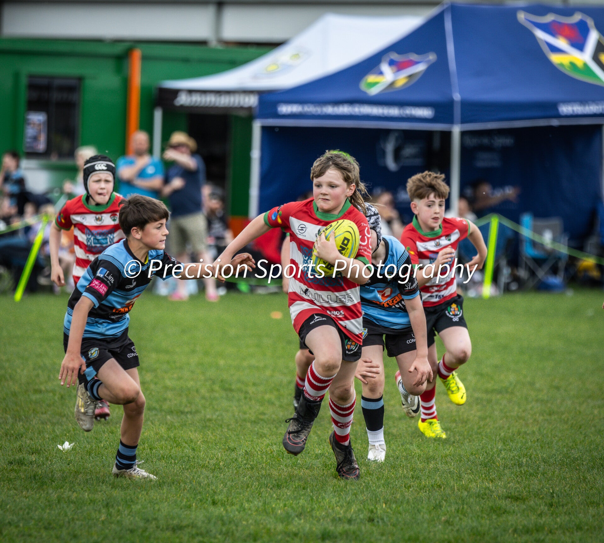 Wildboars Festival 26.4.26