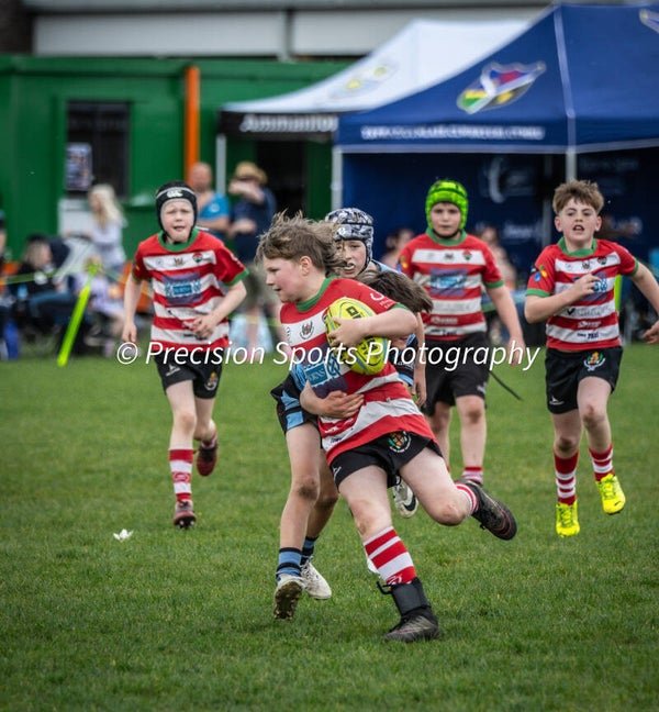 Wildboars Festival 26.4.26
