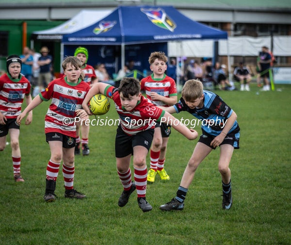 Wildboars Festival 26.4.26