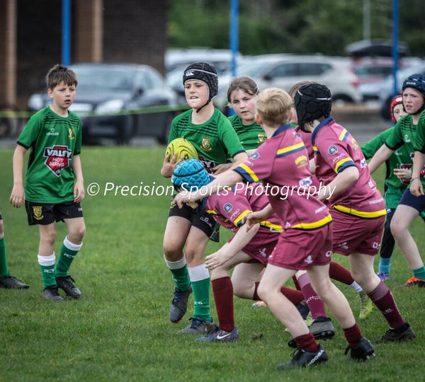 Wildboars Festival 26.4.26