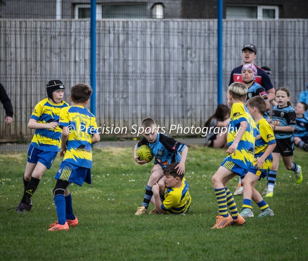 Wildboars Festival 26.4.26