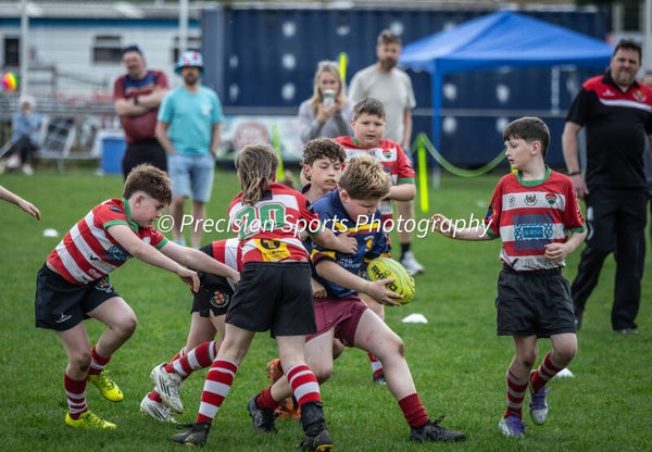 Wildboars Festival 26.4.26