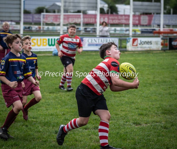 Wildboars Festival 26.4.26