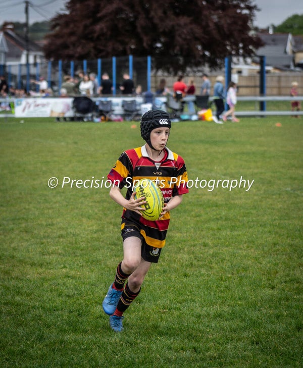 Wildboars Festival 26.4.26