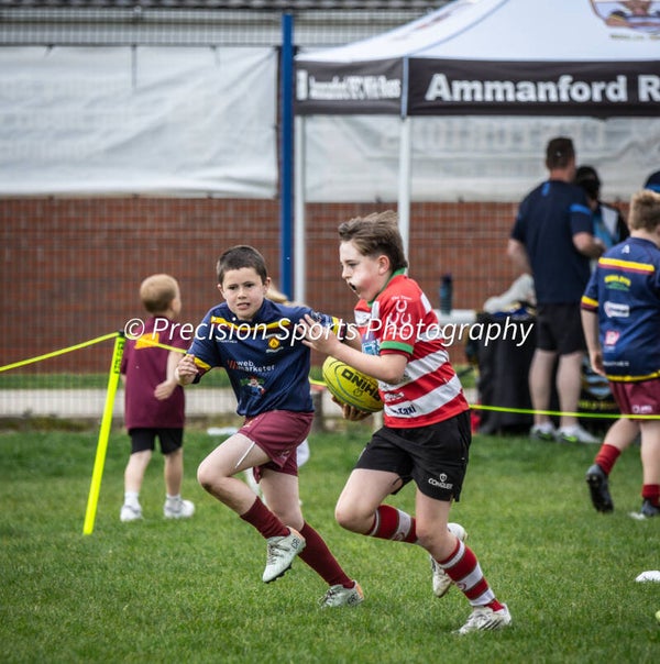 Wildboars Festival 26.4.26