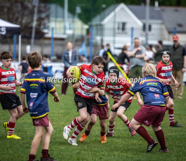 Wildboars Festival 26.4.26