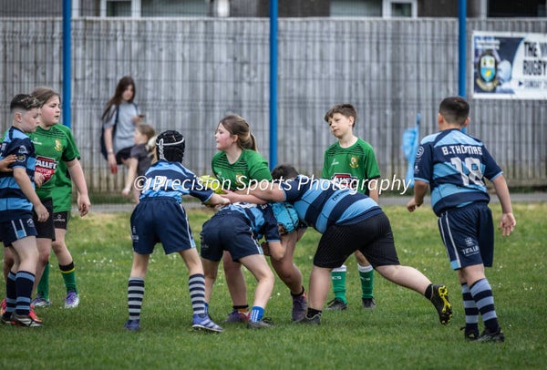 Wildboars Festival 26.4.26