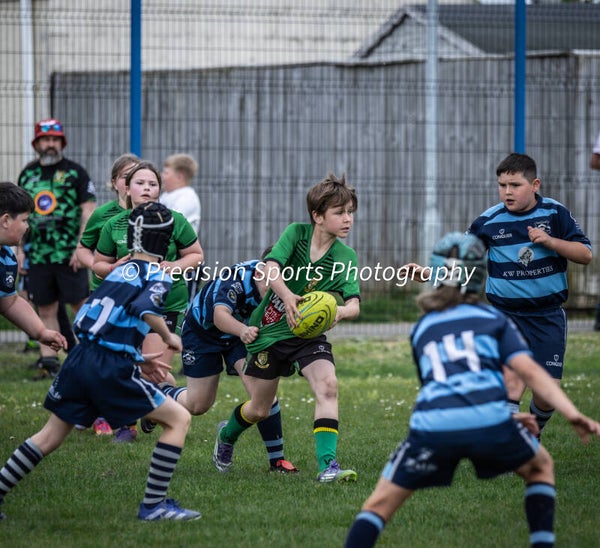 Wildboars Festival 26.4.26