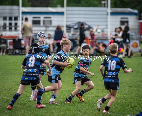 Wildboars Festival 26.4.26