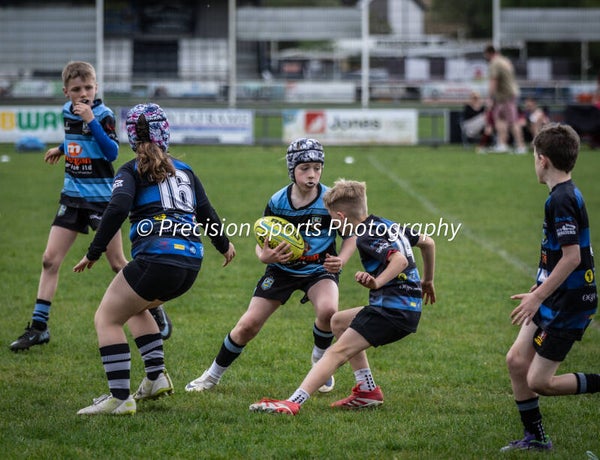 Wildboars Festival 26.4.26