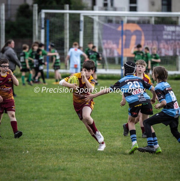 Wildboars Festival 26.4.26