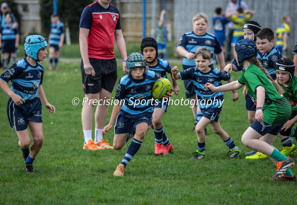 Wildboars Festival 26.4.26