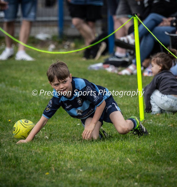 Wildboars Festival 26.4.26