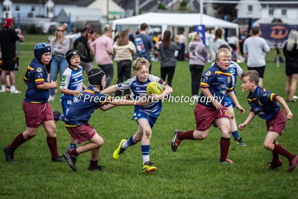 Wildboars Festival 26.4.26