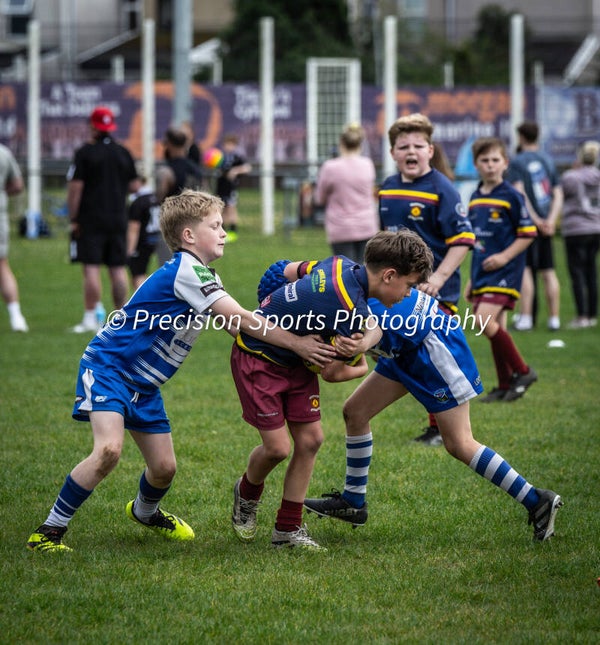 Wildboars Festival 26.4.26