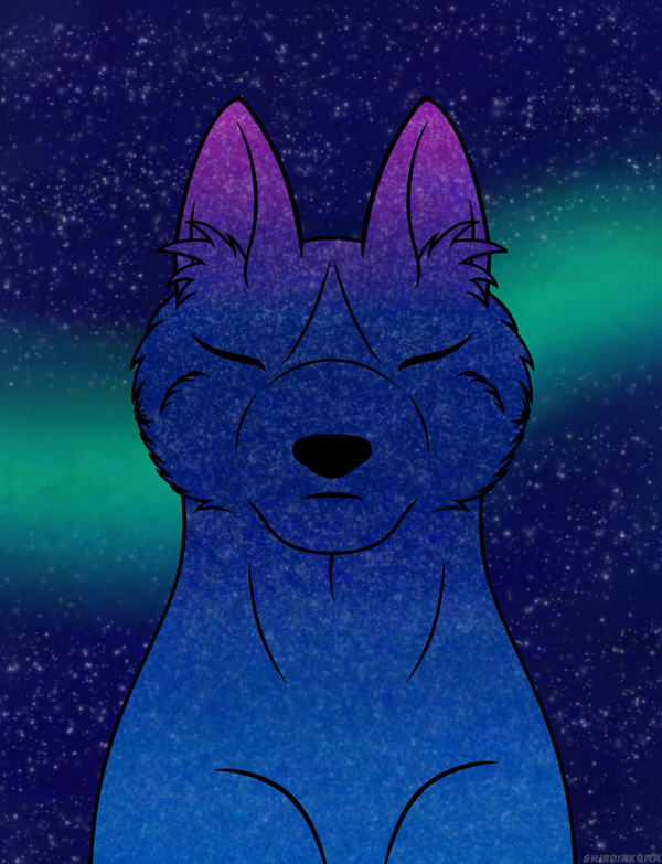 Galaxy susi printti/juliste A5