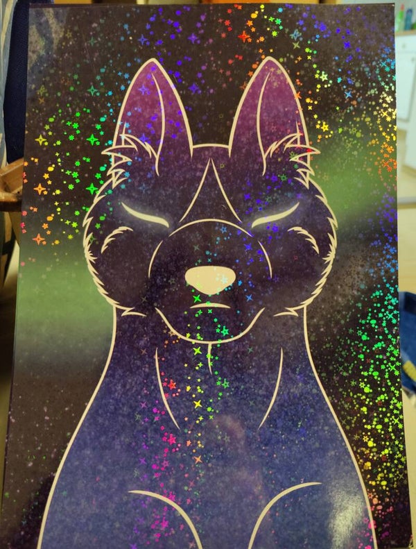HOLO galaxy susi Printti/juliste A4