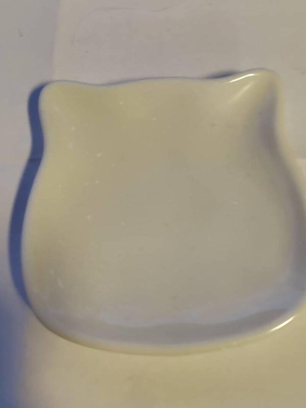 helmiäisen valkoinen kissa tassi