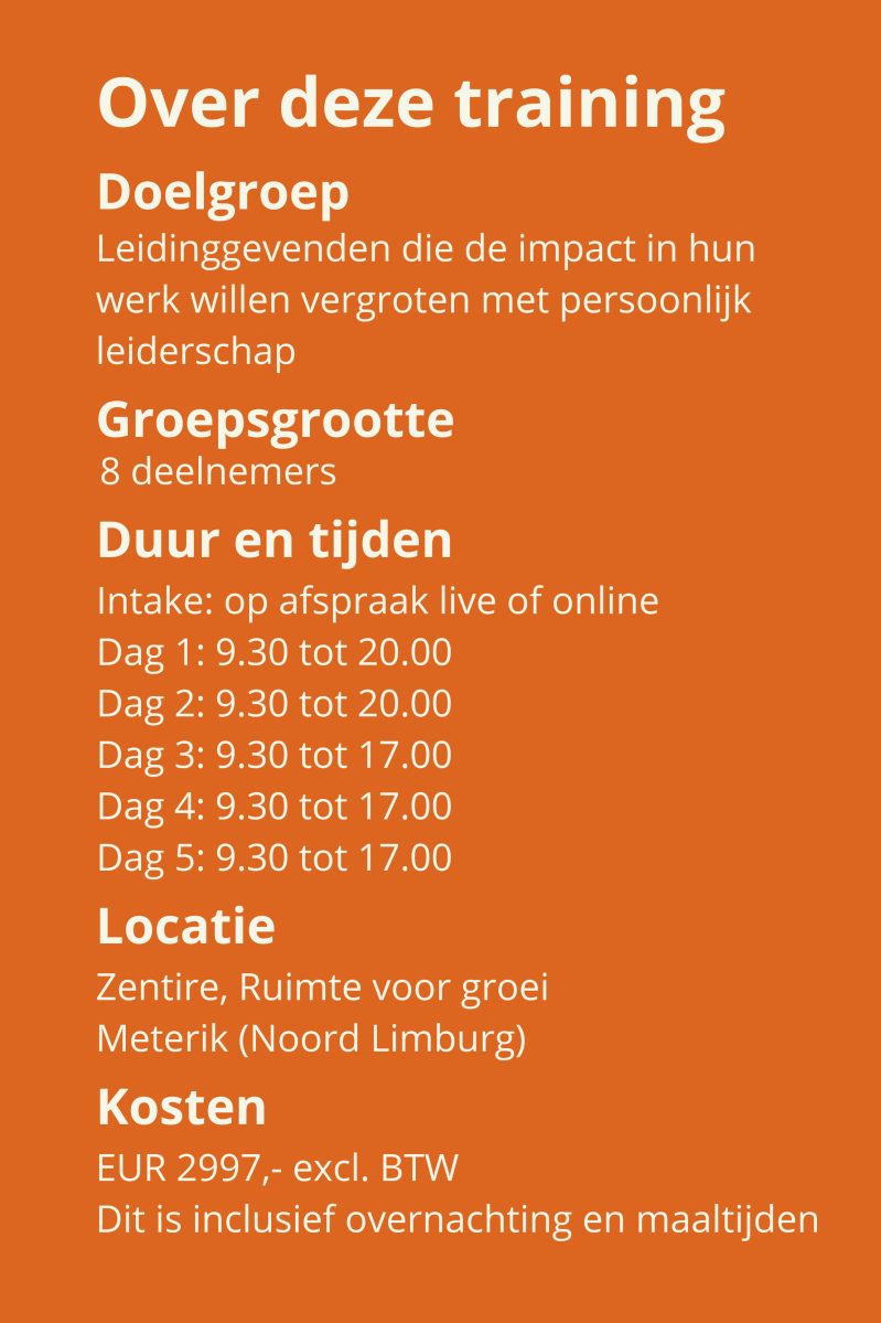 Persoonlijk leiderschap, leidinggevenden, middenkader, patronen doorbreken, leidinggeven met impact