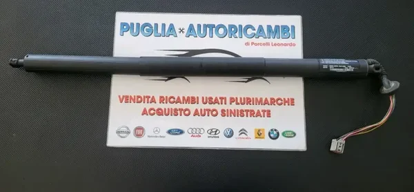 PISTONCINI COFANO POST. FORD KUGA CV44-S402A55-AB