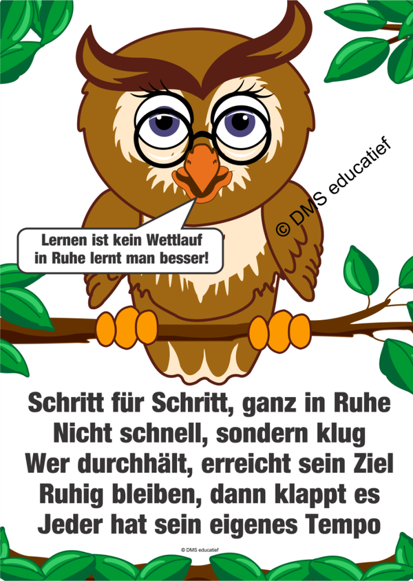 Poster: Lernen ist kein Wettlauf A3