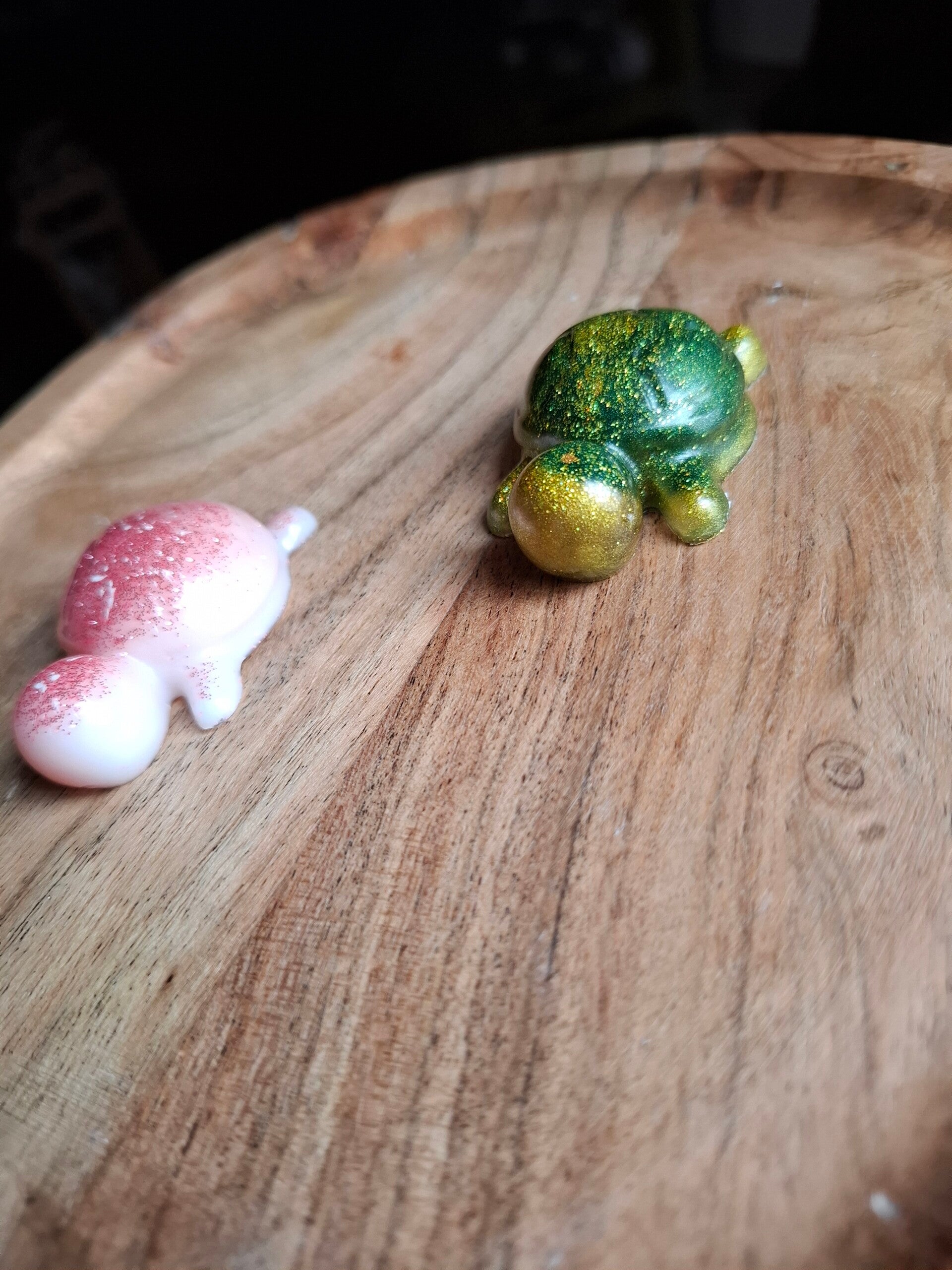 Schildkröte Doriiie