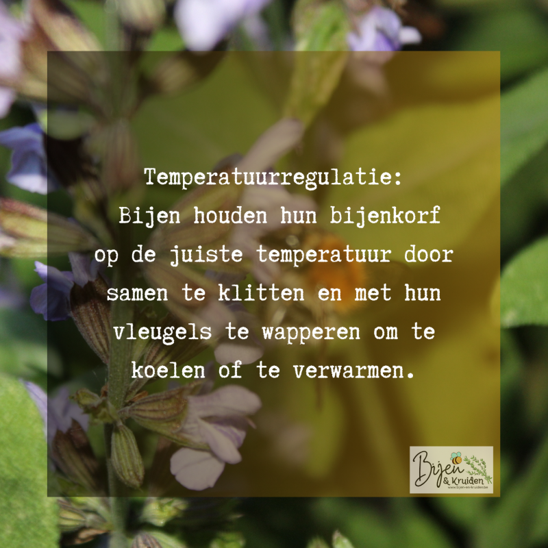 29-standard-ll60qr.png