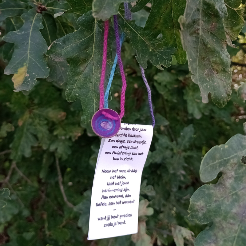 Rode Lakstraat Veerle heide wandelpunt 126