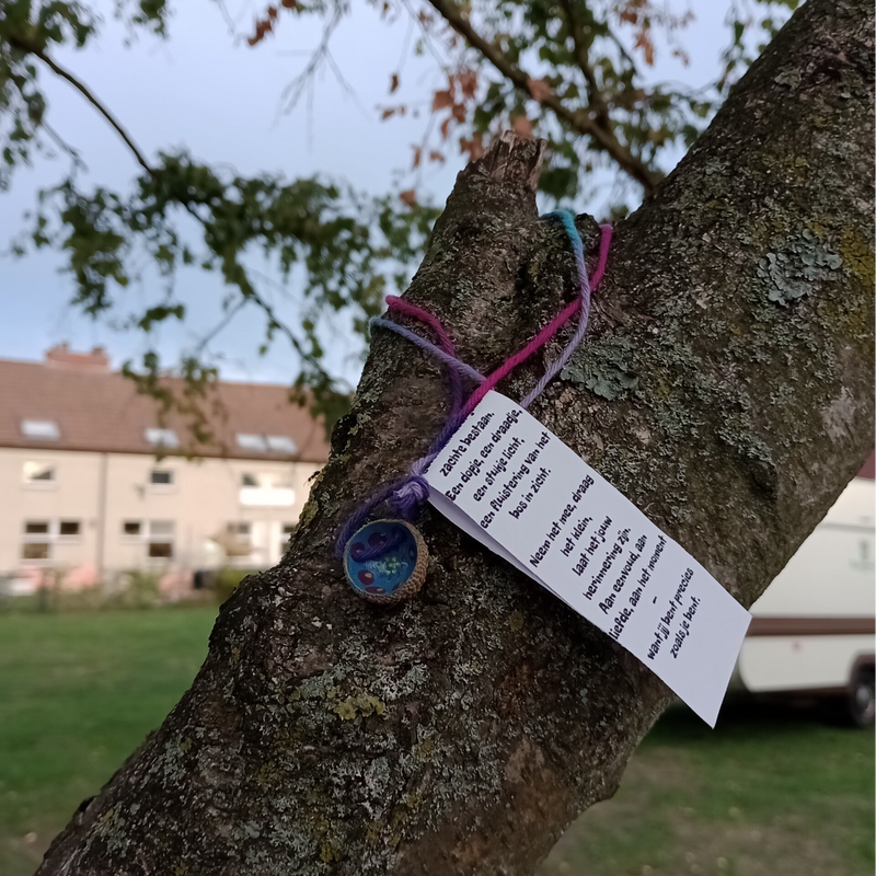 wat een mooi berk op 51.078724, 5.019434 Vorst,2430 Laakdal