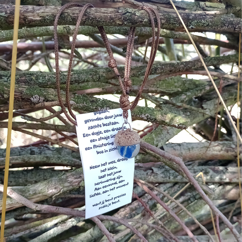 Rode Lakstraat Veerle heide