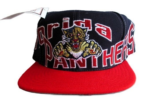FLORIDA PANTHERS NHL SNAPBACK BY APEX ONE