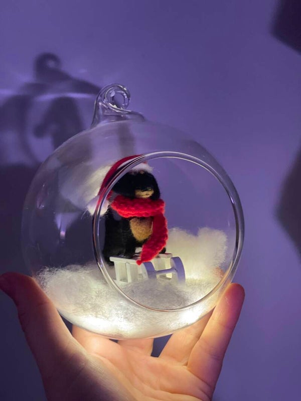 Dachshund through the snow