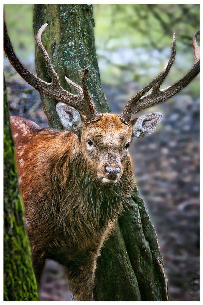 Röhrensee, Bayreuth