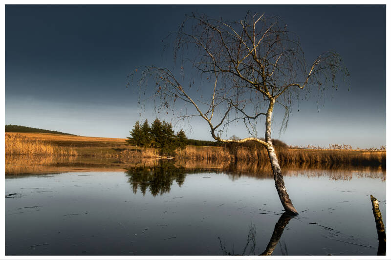 Weiher zwischen Waldau und Pechgraben
