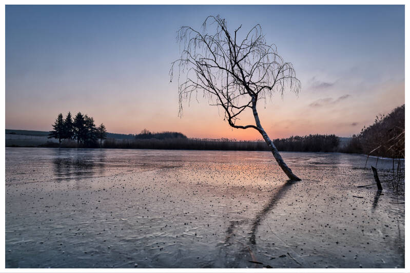 Waldauer Weiher
