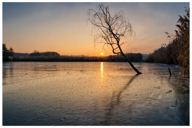 Waldauer Weiher
