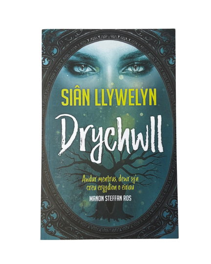 Drychwll - Siân Llywelyn