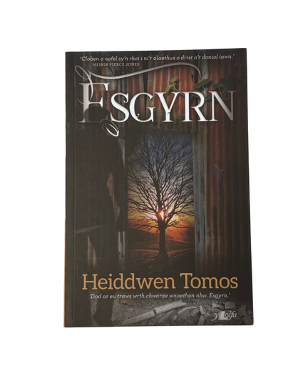 Esgyrn - Heiddwen Tomos