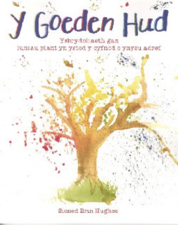 Y Goeden Hud - Sioned Erin Hughes