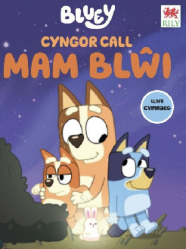 Cyngor Call Mam Blwi