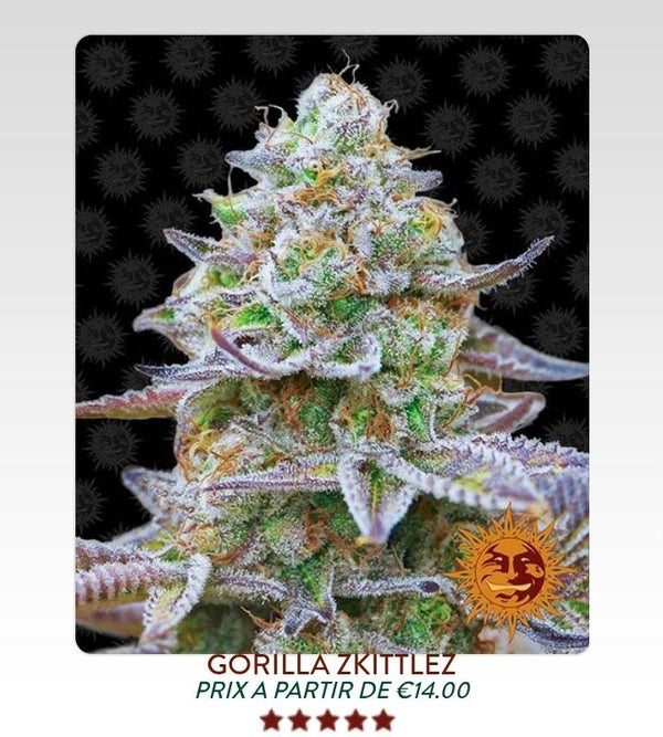 Gorilla zskittles
