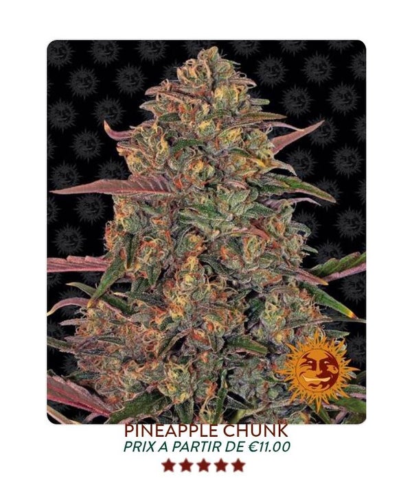 Pineaple chunk