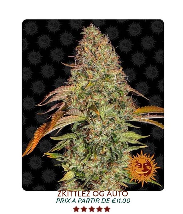Zskittles og auto