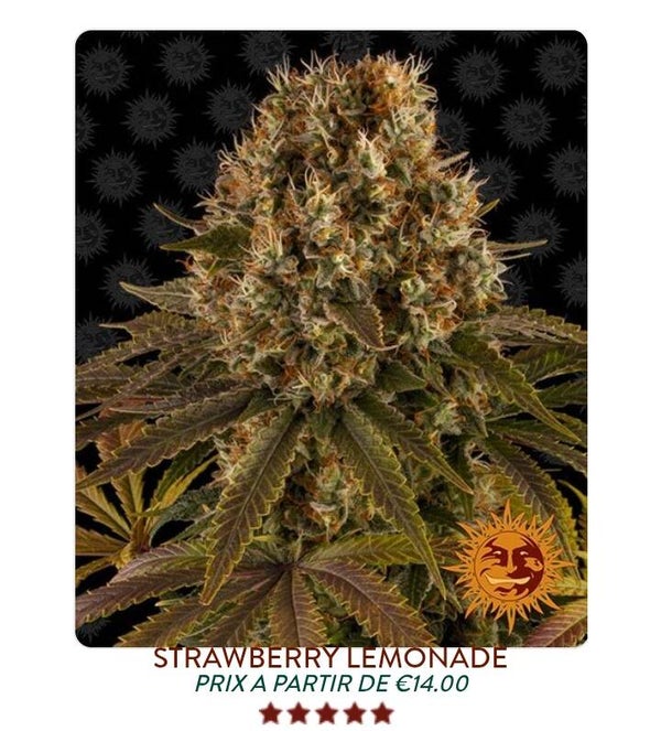 Strawberry lemonade