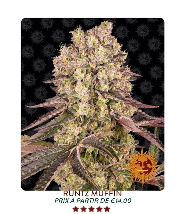 Runtz Muffin
