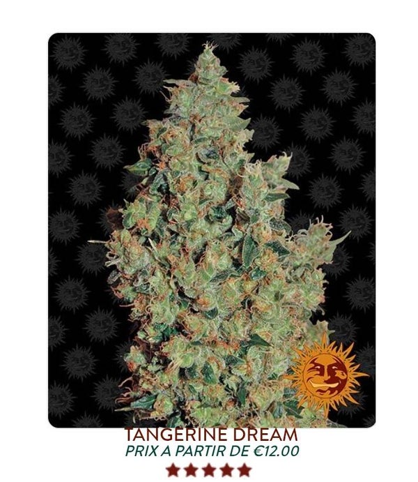 Tangerine dream