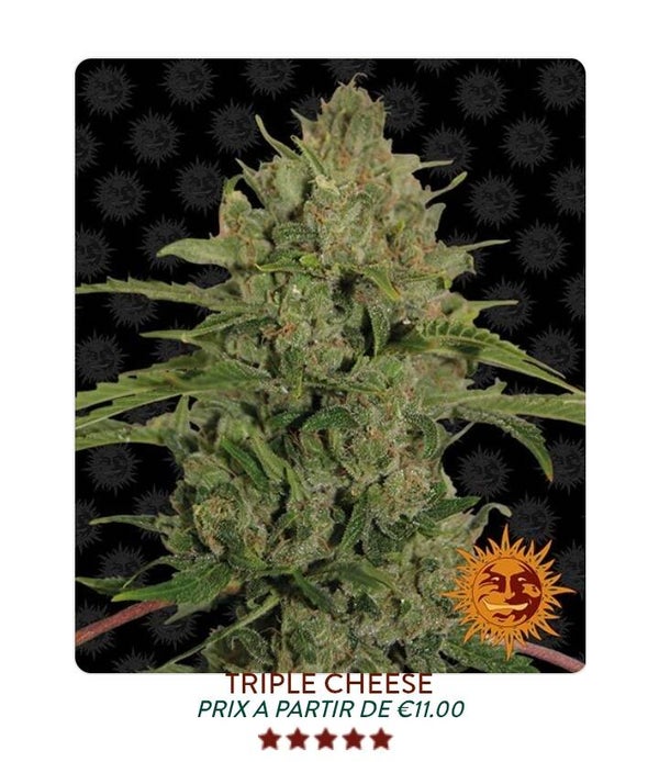 Triple cheese