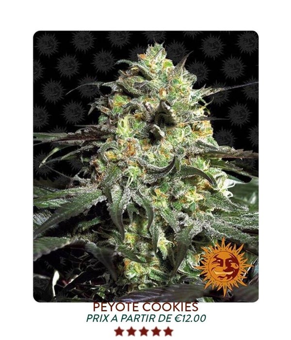 Peyote cookies