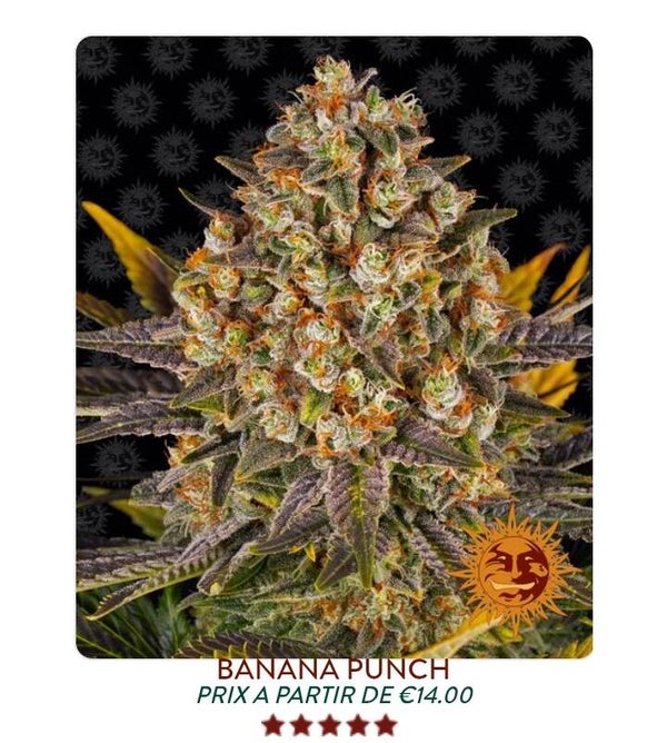 Bananas punch